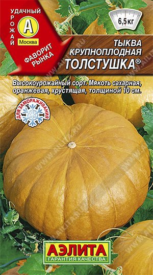 Тыква Толстушка описание сорта, урожайность, фото и отзывы